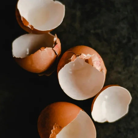 Eierschalen
