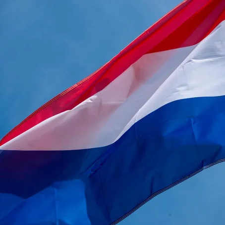 Nederlandse vlag