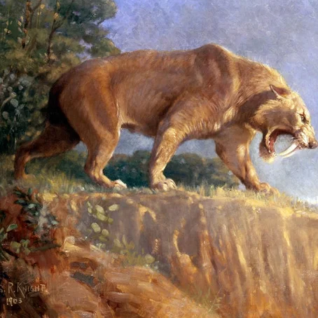 Sabeltandtijger