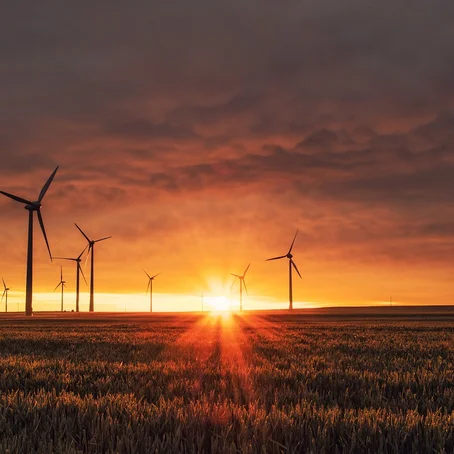 Windturbines met ondergaande zon