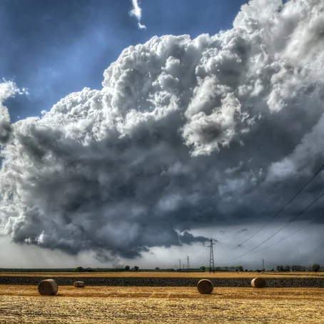 Wolk