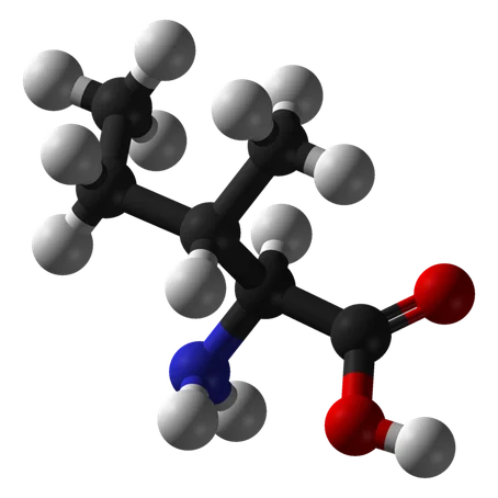 Molecuul