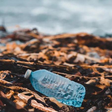 Plastic fles in de natuur