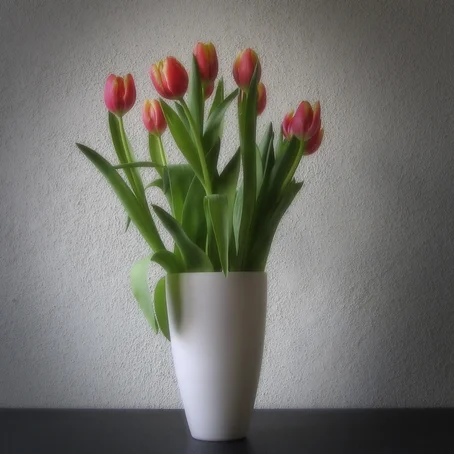 Tulpen